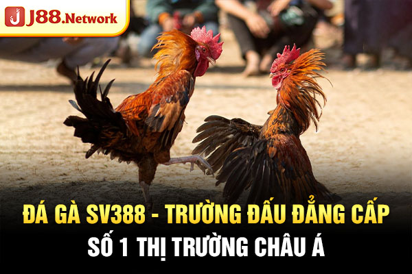 Đá Gà SV388 - Trường Đấu Đẳng Cấp, Số 1 Thị Trường Châu Á